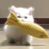 莹莹zm