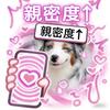 夙愿时空（三角洲行动）