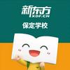 保定新东方学习规划