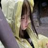 绵绵冰小羊