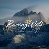 BoringWill