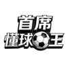 首席懂球王