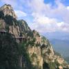 书码旅者