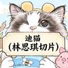 迪猫