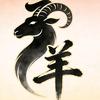子羊探剧