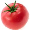 吃tomato的西红柿