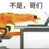 玩不玩了哥们独狼