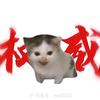 小宁德猫（一次赚五毛）