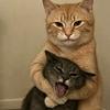 吃一口给小猫