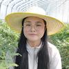 花肥花番茄种植小蔡