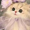 LᎭℯ⃝小懒猫