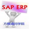 SAP顾问学院