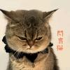 闷气猫
