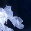 春光袭人