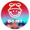 DOMI的奇思妙想
