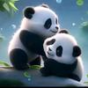 熊猫讲天下