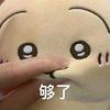 南极熊
