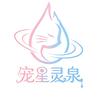 专注猫咪饮水机研发一万年