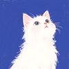猫界老实人