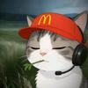 黄鼠阳🐱