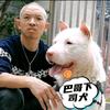 巴哥下司犬繁殖基地（大号）