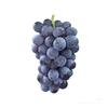 葡萄
