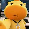 最新联盟