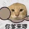努力胖二十斤