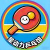 星动力乒乓球馆