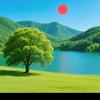 福