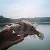 🌈米米安🎣lure