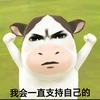 WD-小牛