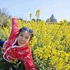 红梅姐