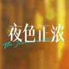 剧集夜色正浓（上头打工版