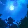 谧