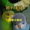 团子•毛球