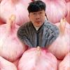 蒜球
