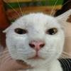 拉黑就看不见了