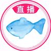 鲈鱼🎧