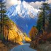 河南高考李老师