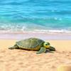 大海龟 big turtle