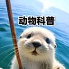 动物科普