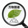 万物图谱