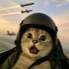 猴子教剪辑