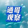 通哥观察