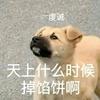 刘几朵(有问必答版)