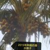 用户5481715760993（平川）