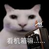 白色猫头_HTMpc🤓👆