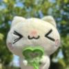 生巧猫彬