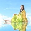 闽南水菜